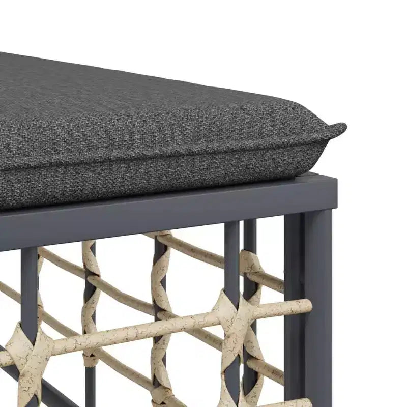 vidaXL Salon de jardin 10 pcs Anthracite